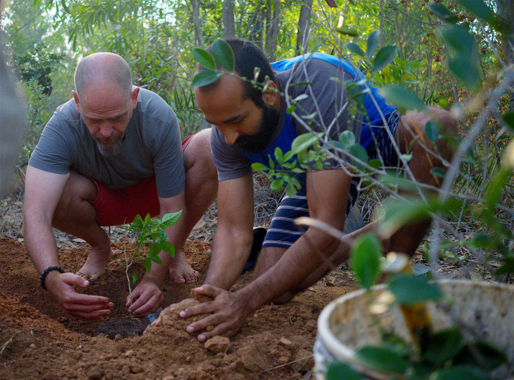 Sadhana Forest Planting saplings, planting trees, alternative living, Sadhana Forest, Auroville, living in a commune, community living, communities, reforestation, water conservation methods, forest, Pondicherry, Puducherry, Tamil Nadu, India, South India, experiences in Auroville, environment, environmental protection, environmental awareness, eco travel, green travel, save the earth, green planet, voluntourism, volunteer opportunities, social causes, social change, carbon footprint, self sustainability, travel